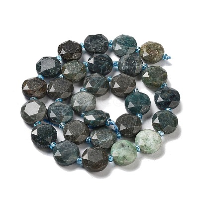 Natural Chrysocolla Beads Strands G-NH0004-034-1