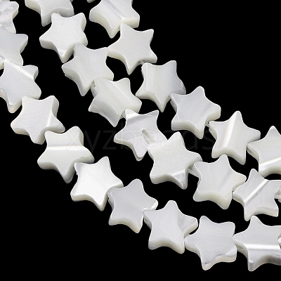 Natural Trochid Shell/Trochus Shell Beads Strands SH-CBA2978-17A-1