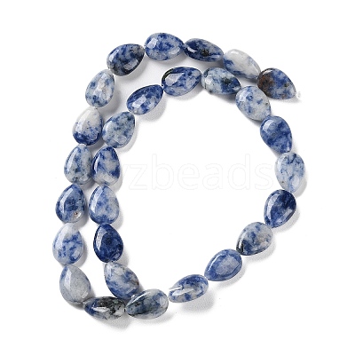 Natural Blue Spot Jasper Beads Strands G-K357-A06-01-1