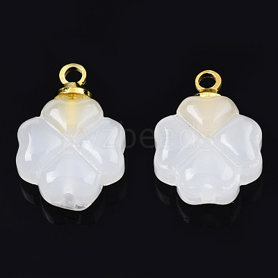 Glass Charms GLAA-N036-02B-1