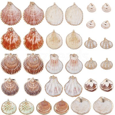 32Pcs 8 Styles Electroplated Natural Mixed Shell Pendants SSHEL-SC0001-62C-1
