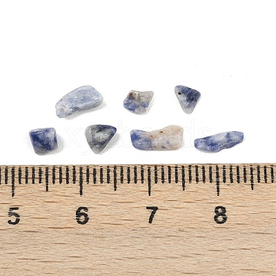 Natural Blue Spot Jasper Beads G-K397-02-1