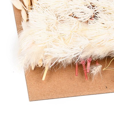 Dried Flower DIY-B018-14-1