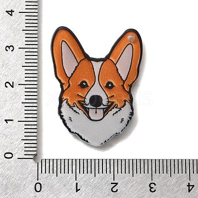 Printed Acrylic Pendants OACR-P033-01E-1