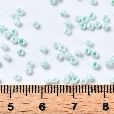 12/0 Glass Seed Beads SEED-S060-A-973-1