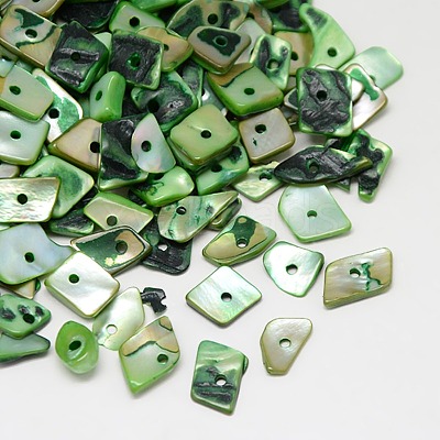 Dyed Natural Freshwater Shell Chips Beads SHEL-A003-A05-1