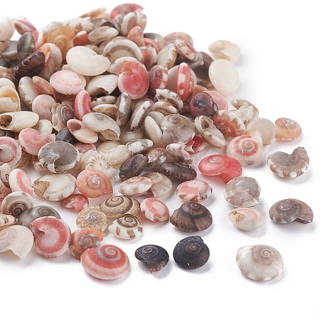 Spiral Shell Beads SSHEL-PH0002-34-1