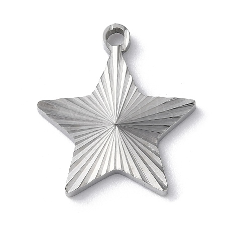 Non-Tarnish 304 Stainless Steel Pendants STAS-D025-04P-02-1