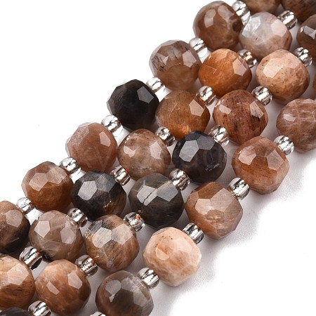 Natural Black Sunstone Beads Strands G-N327-08P-1