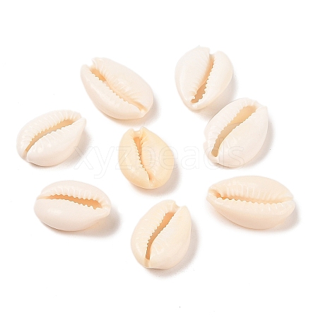 Natural Cowrie Shell Beads BSHE-Q296-1-1