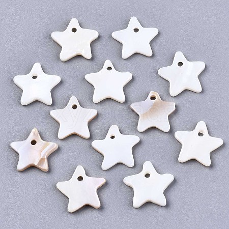 Natural Freshwater Shell Charms SHEL-R113-06-1