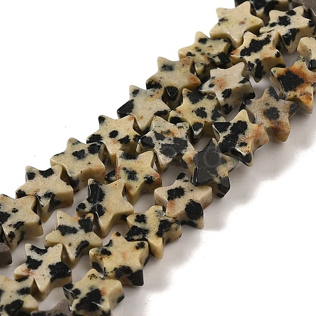 Natural Dalmatian Jasper Beads Strands G-G085-B13-02-1