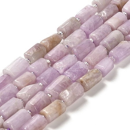 Natural Kunzite Beads Strands G-N327-06-36-1