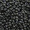 TOHO 6/0 Round Beads X-SEED-TR06-0089-3