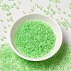 12/0 Transparent Glass Seed Beads X-SEED-F003-03C-13-2