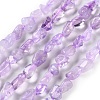 Natural Amethyst(Dyed & Heated) Beads Strands G-P497-01C-47-1