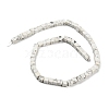 Natural Howlite Beads Strands G-Q1008-B17-2