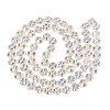Baking Paint Electroplate Transparent Glass Beads Strands EGLA-Q136-04A-01-2