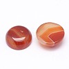 Natural Agate Cabochons X-G-P190-14-2