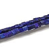 Natural Lapis Lazuli Dyed Beads Strands G-B064-A20-1