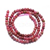 Natural Rhodonite Beads Strands G-K245-A11-02-2