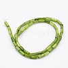 Natural Shell Bead Strands BSHE-P016-16-2