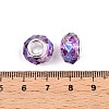 Baking Paint Transparent Glass European Beads GPDL-N004-C14mm-A05-3