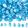 100Pcs Natural Trochid Shell/Trochus Shell Beads BSHE-SC0001-16A-1