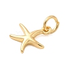 Brass Charms KK-A266-12F-G-2