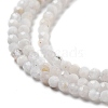 Natural Rainbow Moonstone Beads Strands G-G161-A01-01-4