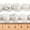 Natural Howlite Beads Strands G-F781-A03-01-5