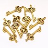 Tibetan Style Alloy Pendants GLF0678Y-1