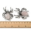 Dual-use Items Alloy Pave Jet Rhinestone Spider Brooch JEWB-C026-07I-AS-3