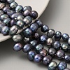 Dyed Natural Cultured Freshwater Pearl Beads Strands PEAR-A006-29A-2