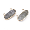 Natural Labradorite Pendants G-S344-44C-2