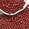 Baking Paint Pearlized Glass Seed Beads SEED-C001-04A-11-1