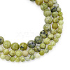 Yilisi 3 Strands 3 Style Natural Yellow Turquoise Jasper Beads Strands G-YS0001-04-2