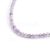 Natural Gemstone Beaded Necklaces NJEW-F245-A09-2