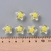 Transparent Acrylic Beads TACR-S152-02A-SS2105-4