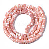 Natural Trochus Shell Beads Strands SHEL-S278-027H-2