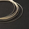 Sterling Silver Wire STER-WH0009-02A-2