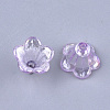 Transparent Acrylic Bead Caps TACR-T007-04E-2