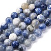 Natural Sodalite Beads Strand GSR8mmC013-4