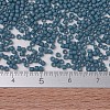 MIYUKI Delica Beads X-SEED-J020-DB0792-4