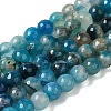 Dyed & Heated Natural Agate Beads Strands G-P539-G01-1