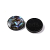 Natural Paua Shell Epoxy Resin Cabochons SSHEL-S279-01A-2