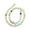 Natural Flower Amazonite Beads Strand G-I376-D33-01-2