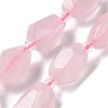 Natural Rose Quartz Beads Strands G-H095-A10-01-1