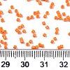 11/0 Grade A Glass Seed Beads X-SEED-S030-1019-4