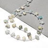 Natural Flower Amazonite Beads Strands G-Q167-A10-02-2